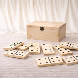 Jeu DOMINO géant