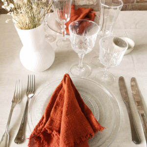 Serviette élégante terre cuite franges